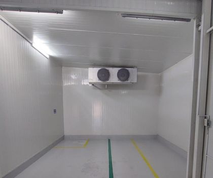 Zarzamora Image1